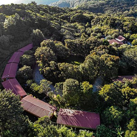 El Bosque Lodging Villa Monteverde Bagian luar foto