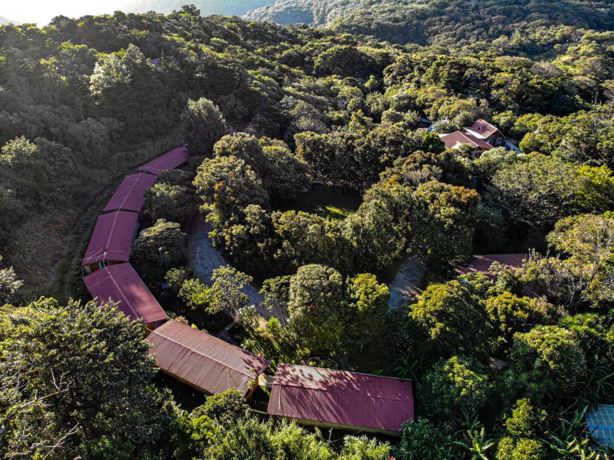 El Bosque Lodging Villa Monteverde Bagian luar foto