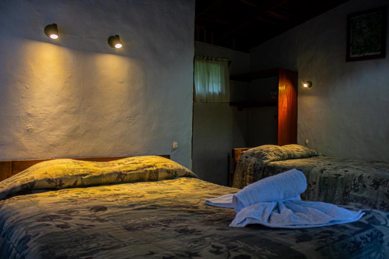 El Bosque Lodging Villa Monteverde Bagian luar foto